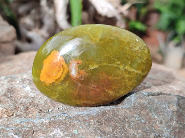 Polished Green Opal Palm Stones x 12 From Antsirabe, Madagascar