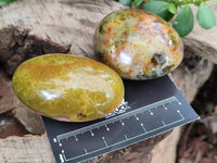 Polished Green Opal Palm Stones x 12 From Antsirabe, Madagascar