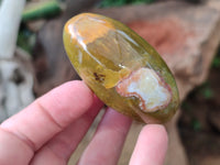 Polished Green Opal Palm Stones x 12 From Antsirabe, Madagascar