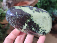 Polished Leopard Stone Free Forms x 4 From Nyanga, Zimbabwe