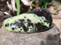 Polished Leopard Stone Free Forms x 4 From Nyanga, Zimbabwe