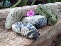 Polished Leopard Stone Free Forms x 4 From Nyanga, Zimbabwe