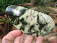 Polished Leopard Stone Free Forms x 4 From Nyanga, Zimbabwe