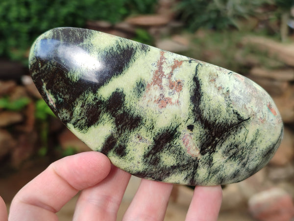 Polished Leopard Stone Free Forms x 4 From Nyanga, Zimbabwe