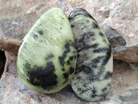 Polished Leopard Stone Free Forms x 4 From Nyanga, Zimbabwe