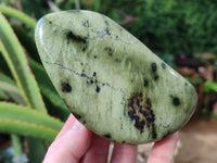 Polished Leopard Stone Free Forms x 4 From Nyanga, Zimbabwe