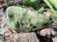 Polished Leopard Stone Free Forms x 4 From Nyanga, Zimbabwe