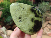 Polished Leopard Stone Free Forms x 4 From Nyanga, Zimbabwe