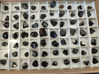 Natural Schorl Black Tourmaline Specimens x 70 From Erongo, Namibia