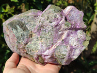 Natural Stichtite Specimens x 2 From Barberton, South Africa