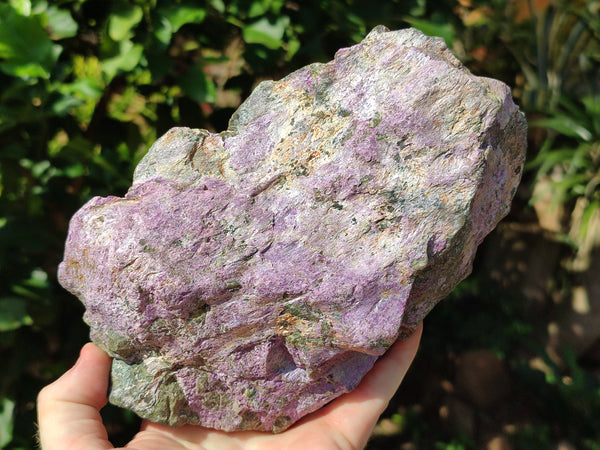 Natural Stichtite Specimens x 2 From Barberton, South Africa