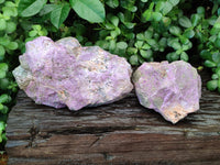 Natural Stichtite Specimens x 2 From Barberton, South Africa