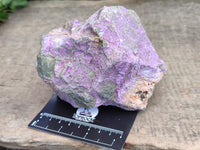 Natural Stichtite Specimens x 2 From Barberton, South Africa