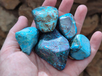 Polished Shattuckite With Azurite and Chrysocolla Free Forms x 12 From Congo