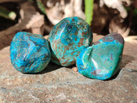 Polished Shattuckite With Azurite and Chrysocolla Free Forms x 12 From Congo