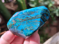 Polished Shattuckite With Azurite and Chrysocolla Free Forms x 12 From Congo