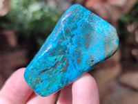 Polished Shattuckite With Azurite and Chrysocolla Free Forms x 12 From Congo