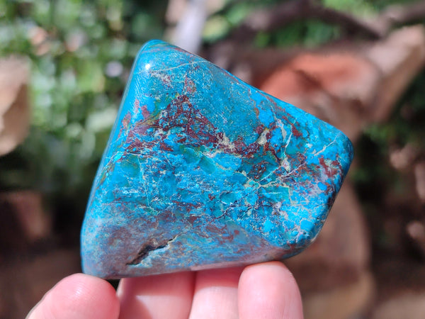 Polished Shattuckite With Azurite and Chrysocolla Free Forms x 12 From Congo