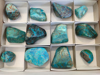 Polished Shattuckite With Azurite and Chrysocolla Free Forms x 12 From Congo