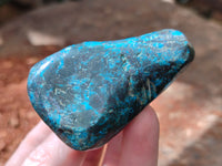 Polished Shattuckite With Azurite and Chrysocolla Free Forms x 12 From Congo