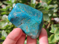 Polished Shattuckite With Azurite and Chrysocolla Free Forms x 12 From Congo