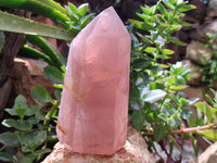 Polished Lavender Rose Quartz Points x 2 From Madagascar