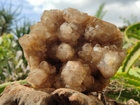 Natural Smokey Phantom Quartz Cluster x 1 From Luena, Congo