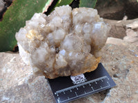 Natural Smokey Phantom Quartz Cluster x 1 From Luena, Congo