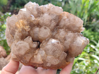 Natural Smokey Phantom Quartz Cluster x 1 From Luena, Congo