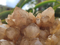 Natural Smokey Phantom Quartz Cluster x 1 From Luena, Congo