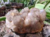 Natural Smokey Phantom Quartz Cluster x 1 From Luena, Congo