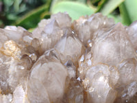 Natural Smokey Phantom Quartz Cluster x 1 From Luena, Congo