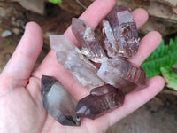 Natural Red Hematoid Quartz Crystals x 35 From Karoi, Zimbabwe