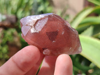 Natural Red Hematoid Quartz Crystals x 35 From Karoi, Zimbabwe