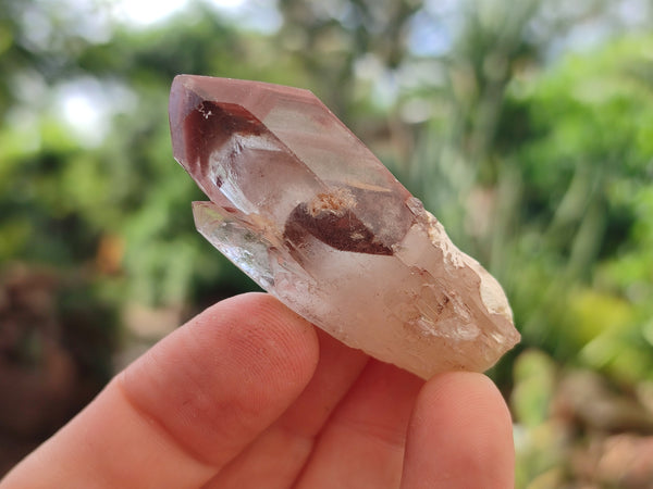 Natural Red Hematoid Quartz Crystals x 35 From Karoi, Zimbabwe