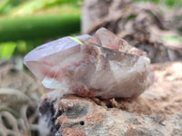 Natural Red Hematoid Quartz Crystals x 35 From Karoi, Zimbabwe