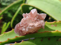 Natural Red Hematoid Quartz Crystals x 35 From Karoi, Zimbabwe