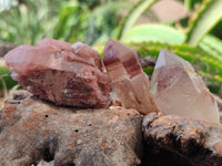 Natural Red Hematoid Quartz Crystals x 35 From Karoi, Zimbabwe