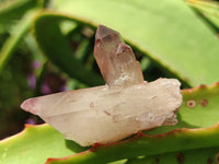 Natural Red Hematoid Quartz Crystals x 35 From Karoi, Zimbabwe