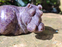 Hand Made Stone Hippo Carvings x 3 From Zimbabwe