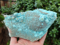 Natural Calcite Coated Chrysocolla Specimen x 1 From Congo