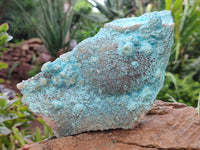 Natural Calcite Coated Chrysocolla Specimen x 1 From Congo