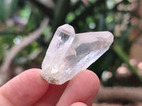 Natural Quartz Crystals x 70 From Mpika, Zambia