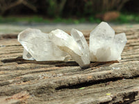 Natural Quartz Crystals x 70 From Mpika, Zambia