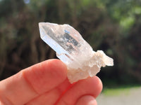 Natural Quartz Crystals x 70 From Mpika, Zambia