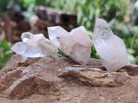 Natural Quartz Crystals x 70 From Mpika, Zambia