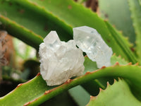 Natural Quartz Crystals x 70 From Mpika, Zambia