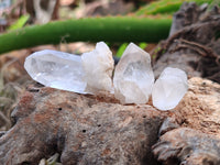 Natural Quartz Crystals x 70 From Mpika, Zambia