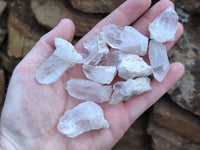 Natural Quartz Crystals x 70 From Mpika, Zambia