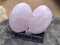 Polished Rose Quartz Standing Free Forms x 3 From Madagascar